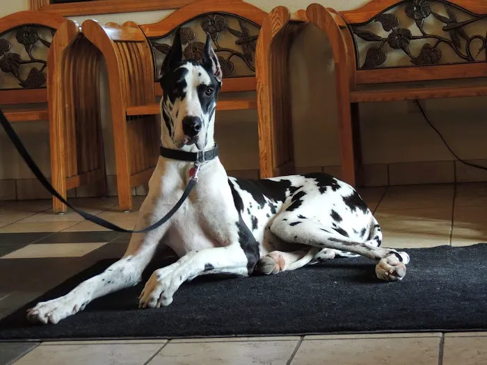 Heritage Animal Hospital North Picture 8