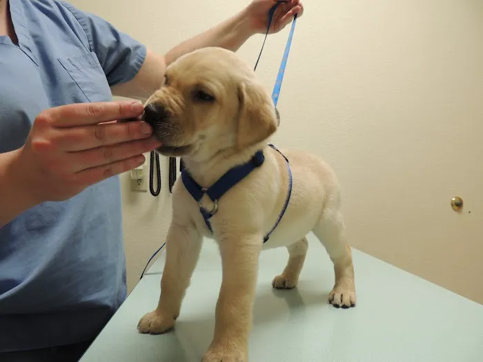 Heritage Animal Hospital North Picture 2