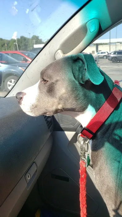 Petcare Animal Hospital Picture 1