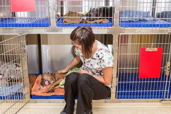 Brown Veterinary Hospital Picture 6