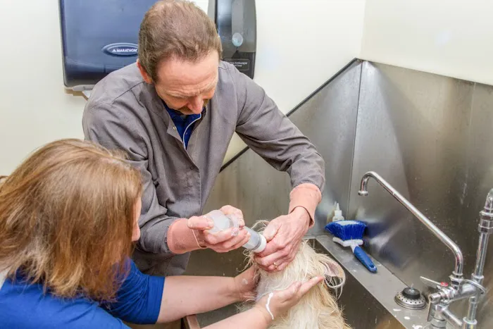 Brown Veterinary Hospital Picture 3