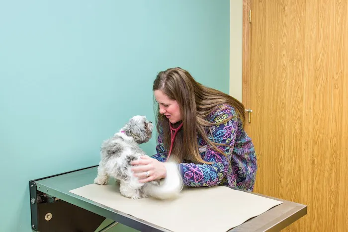 Brown Veterinary Hospital Picture 10