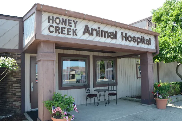 Honey Creek Animal Hospital Picture 6