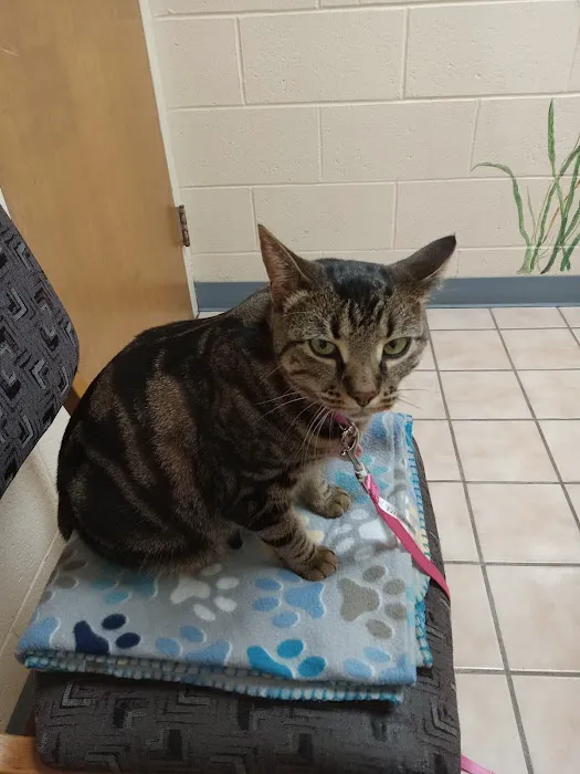 Honey Creek Animal Hospital Picture 8