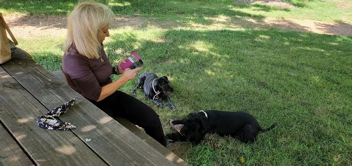Honey Creek Animal Hospital Picture 1