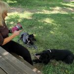 Honey Creek Animal Hospital