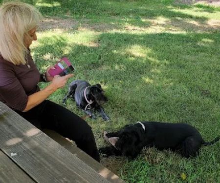 Honey Creek Animal Hospital