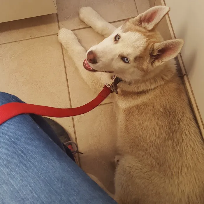 West Central Veterinary Services - Rockville Picture 7