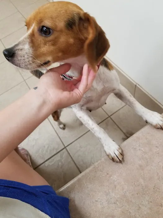 West Central Veterinary Services - Rockville Picture 4