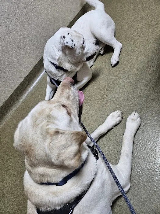 Frankfort Animal Hospital Picture 3