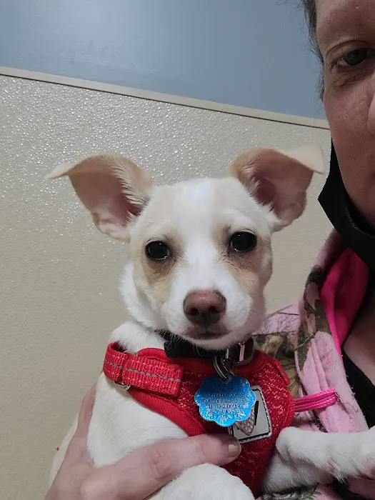 Frankfort Animal Hospital Picture 8