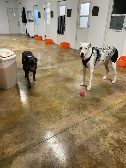 Frankfort Animal Hospital Picture 6