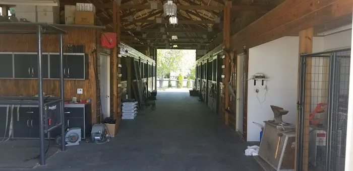 McDavitt Veterinary Clinic LLC Picture 6
