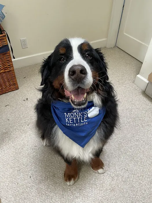 Burlingame Family Pet Hospital Picture 4