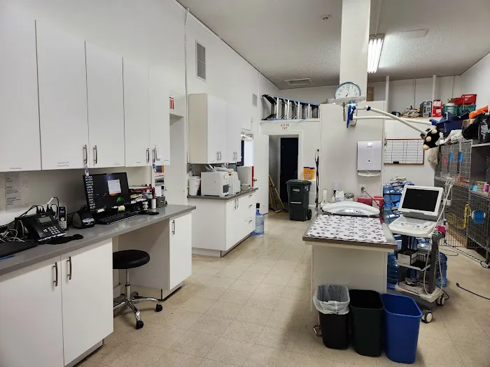 Burlingame Family Pet Hospital Picture 1