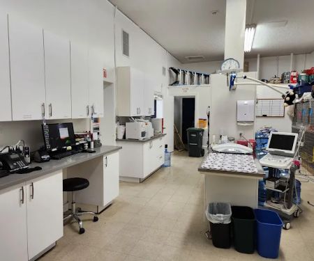 Burlingame Family Pet Hospital