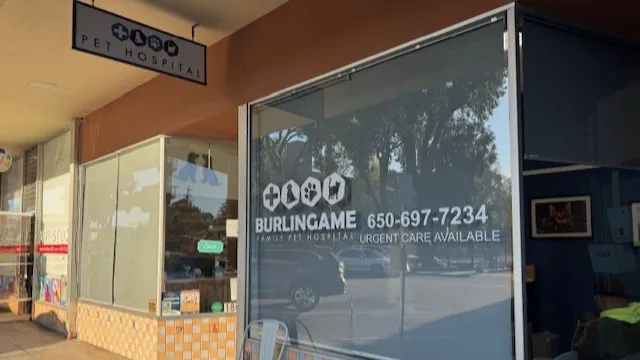 Burlingame Family Pet Hospital Picture 9
