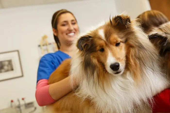 Camino Real Pet Clinic Picture 5