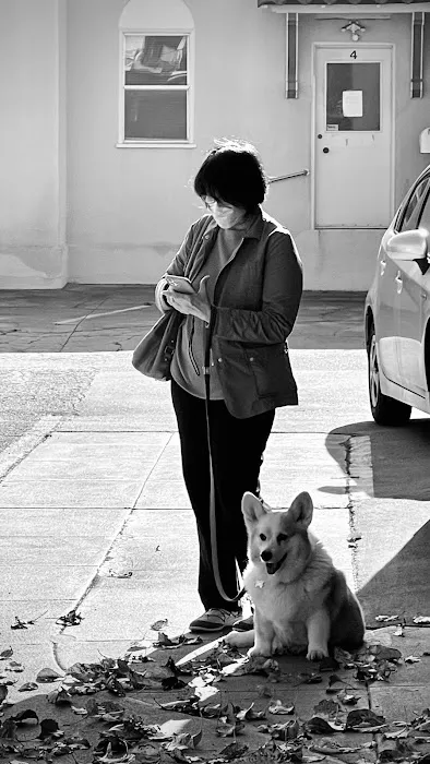 Peninsula Avenue Veterinary Clinic Picture 3