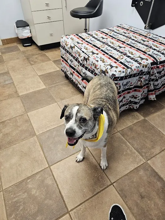 Chateau Veterinary Hospital Picture 7