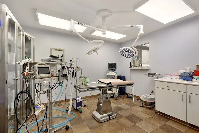 Chateau Veterinary Hospital Picture 6