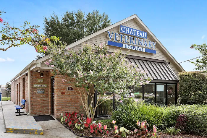 Chateau Veterinary Hospital Picture 3