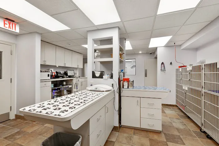 Chateau Veterinary Hospital Picture 4