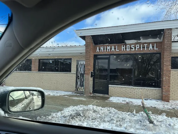 Morgan Park Animal Hospital Picture 4