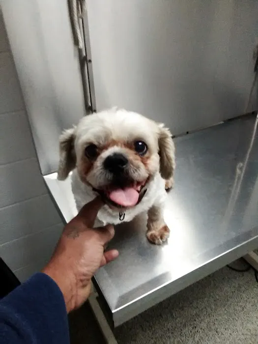 Bevlab Animal Hospital Picture 4