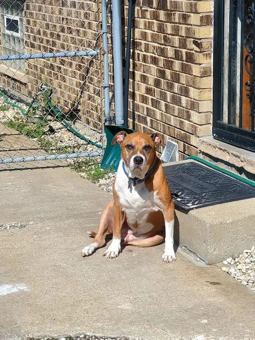 Bevlab Animal Hospital Picture 9