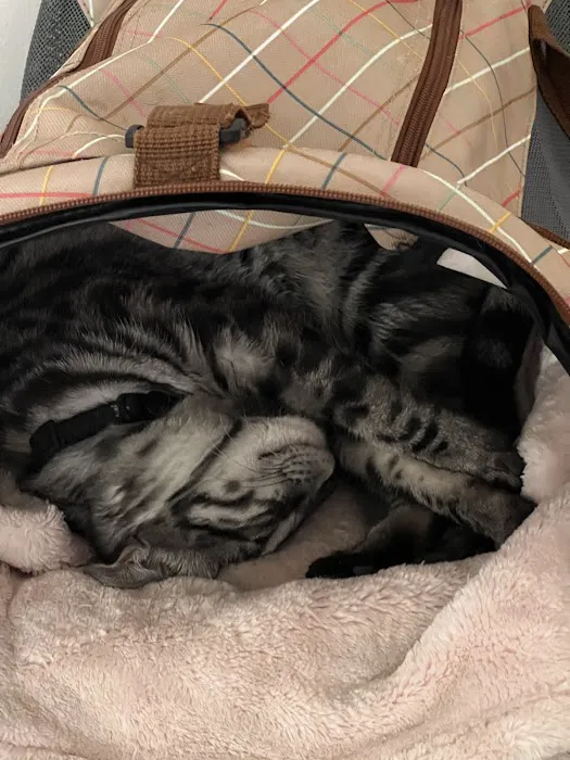 Banfield Pet Hospital Picture 4