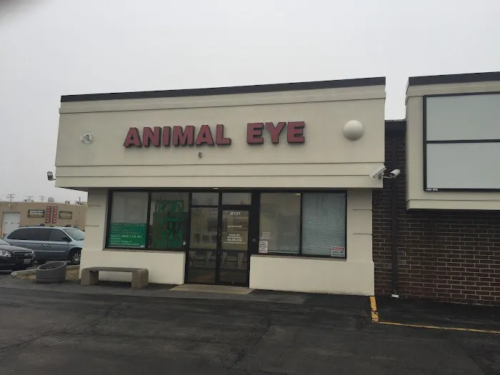 Animal Eye Consultants Picture 5