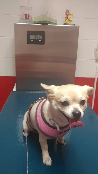 Southwest Animal Care Center Picture 7