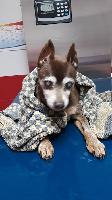 Southwest Animal Care Center Picture 6