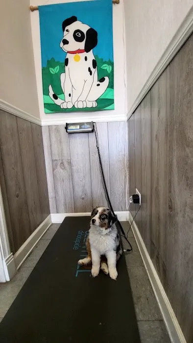 Palos Pet Clinic Picture 5