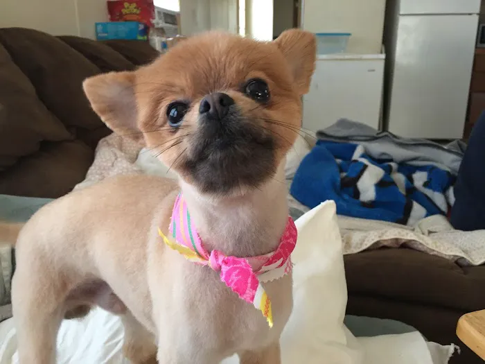Palos Pet Clinic Picture 6