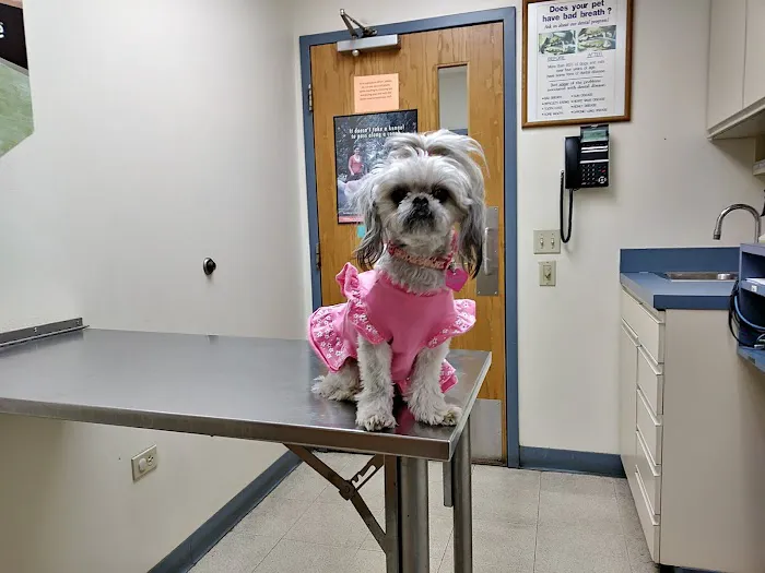 VCA Worth Animal Hospital Picture 5