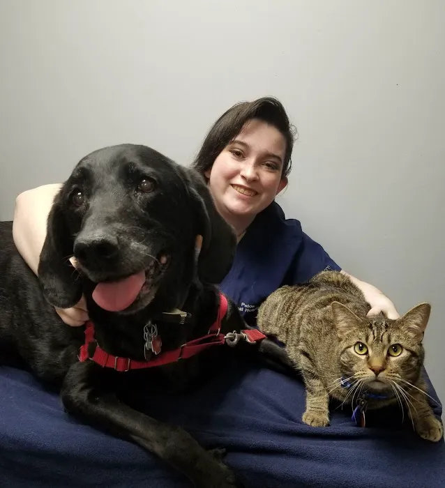 Palos Animal Hospital Picture 7