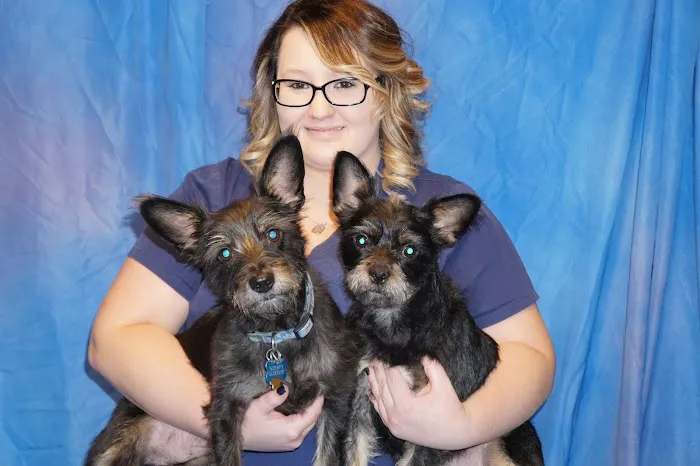 Palos Animal Hospital Picture 3