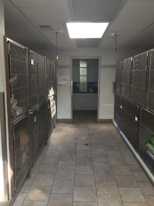 Palos Animal Hospital Picture 6