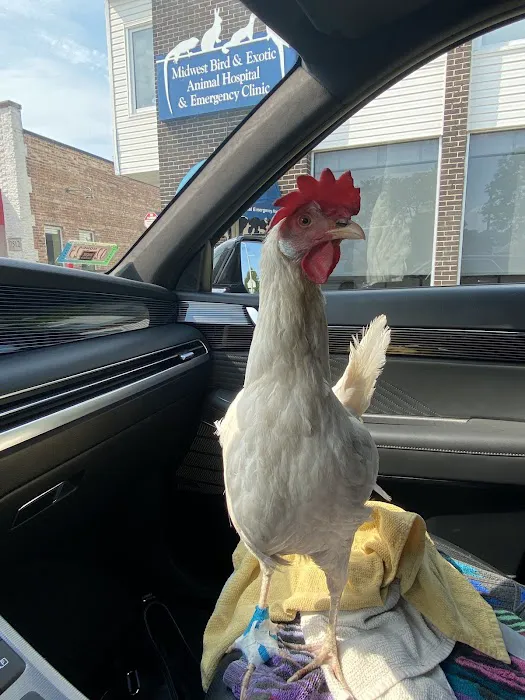 Midwest Bird and Exotic Animal Hospital Picture 8
