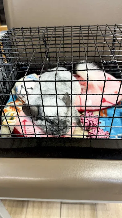 Midwest Bird and Exotic Animal Hospital Picture 3