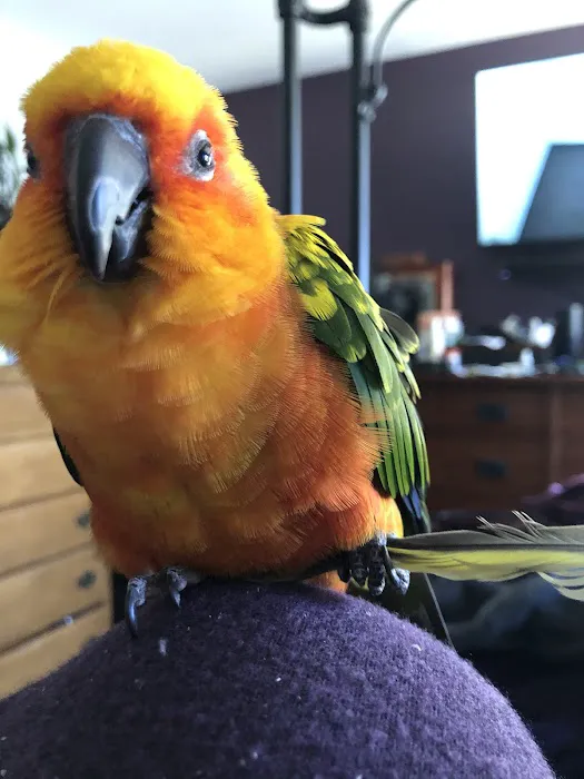 Midwest Bird and Exotic Animal Hospital Picture 7