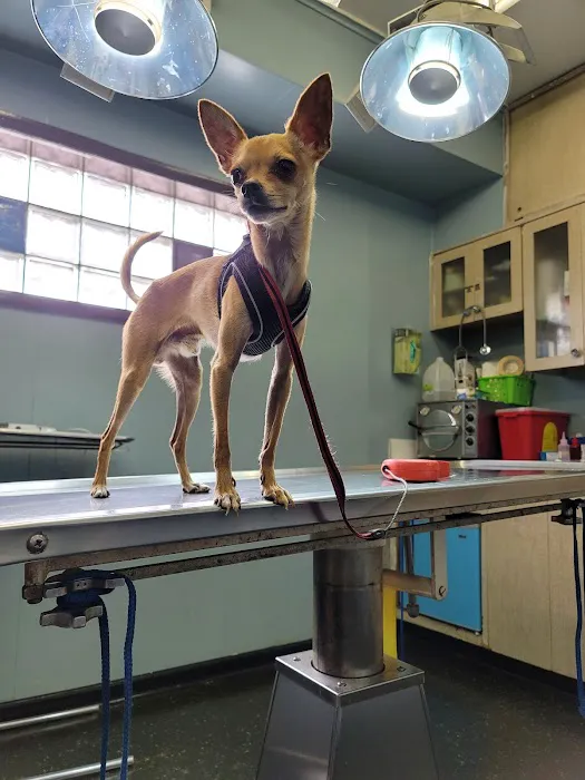 Seligman Animal Hospital Picture 1