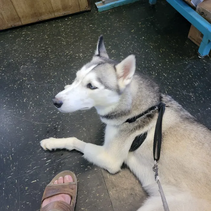 Seligman Animal Hospital Picture 3