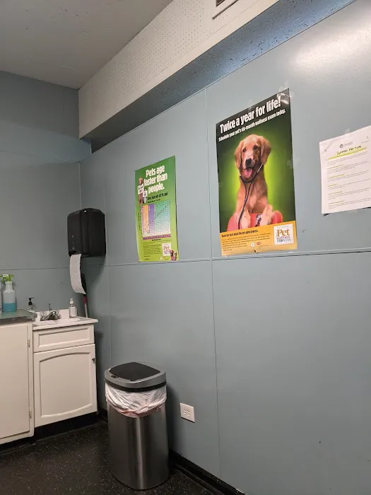 Seligman Animal Hospital Picture 9
