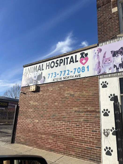 Seligman Animal Hospital Picture 7