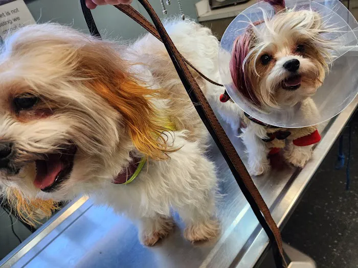 Seligman Animal Hospital Picture 8