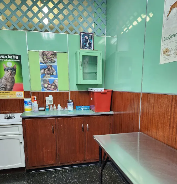 Seligman Animal Hospital Picture 6