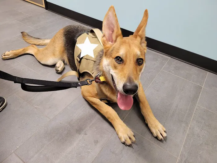 Banfield Pet Hospital Picture 7